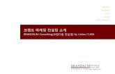 브랜드마케팅컨설팅소개 - :: Unitas · PDF file㈜FnC Kolon 성과중심인사혁신과지식경영프로젝트 신성통상㈜의중장기성장전략개발프로젝트