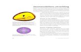 rrl.yolasite.comrrl.yolasite.com/resources/Materians uppbyggnad Nk2.pdf · Atomer är så små att man bara har lyckats se "Fan ... ingat en proton och två neu- ... Protonens och