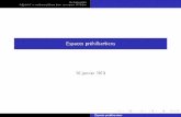 Espaces préhilbertiens - perso.numericable.frperso.numericable.fr/psietoile/ephbeamer.pdf · Espaces réhilbpertiens. Orthogonalit ... (p.ex, polynômes unitaires.) 2.Si la famille