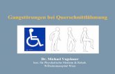 Inst. für Physikalische Medizin & Rehab. Wilhelminenspital ... bei QS.pdf · Paraplegie (komplett): vollständige Lähmung unterhalb der Läsion Muskeln von Rumpf und Beinen betroffen