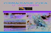 POSMATRANJE PTICA U VOJVODINI - vojvodinaonline.comvojvodinaonline.com/media/2015/12/Posmatranje-ptica1.pdf · vetruška, stepski soko, velika droplja i modrovrana za čiji se opstanak