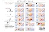 ENZIAN 2012 Klassifikation der tief infiltrierenden ...endometriose-sef.de/dateien/ENZIAN_2013_web.pdf · ENZIAN 2012 Klassifikation der tief infiltrierenden Endometriose (erarbeitet