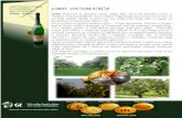CMD DUNJEVAČA - polj. · PDF fileCMD DUNJEVAČA CMDCMD dunjevača je prirodna voćna rakija koju proizvodi porodica Civrić Mokrinu nadomak Kikinde. od 1996. godine porodičnim voćnjacima