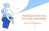 Patologia sistemului nervos şi obezitatea - umfiasi.ro de Medicina... · Anatomie Rolul principal al hipotalamusului este menţinereahomeostaziei. Contribuie la controlul balanţei