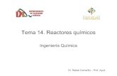 Tema 14. Reactores químicos - · PDF fileDr. Rafael Camarillo – Prof. Ayud. Reactores químicos Diseño del reactor Condiciones determinantes Especificaciones Elección del tipo