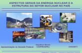 Desenvolvimento da Energia Nuclear - · PDF fileAquilino Senra – COPPE/UFRJ Apresentação no Senado Federal – 23/03/2011 SEQUÊNCIA DE DANO DO REATOR. ... ALEMANHA. 17; 20.470.