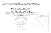 DR. OTTO PESTA - · PDF fileverÖffentlichungen des vereines der freunde des naturhistorischen museums heft 14 dr. otto pesta illustrierter spezialfÜhrer durch die krustazeen-(krebse-)
