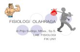 FISIOLOGI OLAHRAGA - staff.uny.ac.idstaff.uny.ac.id/sites/default/files/FISIOLOGI OLAHRAGA.pdf · Muskuler zOtot disini adalah otot skelet / otot rangka / otot lurik / otot serang