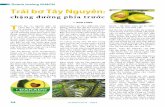 chặng đường phía trước - cesti.gov.vn 34-36… · xuất và phát triển tiềm năng của cây bơ tại Đắk Lắk. ... sức khỏe như rau trộn, ... đã cho