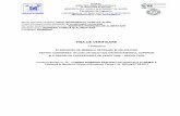 FIȘA DE VERIFICARE - ub.ro · PDF fileConform Anexei nr. 14 – COMISIA INGINERIA ... îndrumar de laborator ...