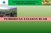 PEMBIBITAN TANAMAN BUAH - …ebook.repo.mercubuana-yogya.ac.id/Kuliah/materi_20152_doc/Minggu3... · jumlah varietas tanaman buah yang telah di lepas mentan sampai dengan 4 februari