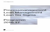 Prozessmanagement Lean Management Lean Six Sigma … download/business... · ment, Lean Management und Lean Six Sigma Prozessmanage- ... Strategie. Die Überlegung, die hinter dem