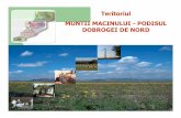 Teritoriul MUNTII MACINULUI -PODISUL DOBROGEI DE …old.madr.ro/pages/dezvoltare_rurala/leader/Prezentare_teritoriul... · Existenta unor localitati fara sisteme de ... Agricola,