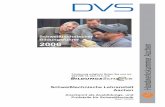 SL2 Bildungsfuehrer 2005 neu 2006 - ll-adelsdorf.comFCf.pdf · DIN EN ISO 9606, DIN 4099 und DIN 29591 • Schweißfachmannlehrgang und Prüfung nach Richtlinie DVS/EWF/IIW 1171 und