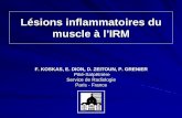 Lésions inflammatoires du muscle à l’IRMpe.sfrnet.org/Data/ModuleConsultationPoster/pdf/2005/1/b2e7ddd3-7d... · Lésions inflammatoires du muscle à l’IRM F. KOSKAS, E. DION,