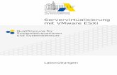Servervirtualisierung mit VMware ESXi - alp.dillingen.dealp.dillingen.de/netacad/materialien/VMware_ESXi.pdf · VMware ESXi‐Server Seite 3 Akademie Dillingen – SCHULNETZ INHALT