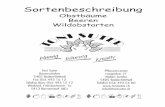 Sortenbeschreibung - Toni Suter, Baden Dättwil: · PDF fileSortenbeschreibung. Obstbäume Beeren. Wildobstarten. Sortenbeschreibung . d. Obstbäume Beeren Wildobstarten . Toni Suter