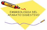 EMBRIOLOGIA DEL APARATO DIGESTIVO - eTablerosetableros.com/embriologia/embrio/diapos/files/Digestivo.pdf · EMBRIOLOGIA DEL APARATO DIGESTIVO. Aparato digestivo • Se desarrolla