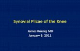 Synovial Plicae of the Knee - bonepit.combonepit.com/Lectures/Synovial Plicae of the Knee ver4.pdf · Outline • Briefly discuss the history of plica research • Discuss the embryology