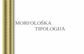 MORFOLOŠKA TIPOLOGIJA - old.fil.bg.ac.rsold.fil.bg.ac.rs/katedre/opstaling/materijali/Tipologija/Tipologija... · → Edward Sapir (1921) - jezici morfološki variraju po dva parametra: