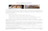 Faire une baguette qui a du goût - Alternative ↺ Autonomie · PDF fileApprendre à faire du pain C Domptail Page 1 Faire une baguette qui a du goût Pourquoi faire son pain ? La