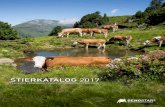 STIERKATALOG 2017 -  · PDF fileDas gemeinsame zuchtprogramm von NGeneti Rinderzucht Steiermar RALDI