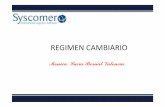 REGIMEN CAMBIARIO SYSCOMER [Modo de · PDF filepara prestar sus servicios en el exterior ... • Porque Los servicios apoyan el comercio de bienes y otros ... Promover, fomentar y