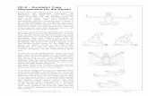 CD 8 – Kundalini Yoga Übungsreihe für die Nieren · PDF fileKundalini Yoga wie es von Yogi Bhajan gelehrt wird CD 8 Nieren
