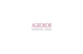 Nalazi revizije za 2016. godinu Agrokor Grupa i Agrokor d.d · PDF file2 Uvod • U svibnju 2017. godine Price Waterhouse Coopers d.o.o. (‘PwC’) je imenovan za zakonskog revizora