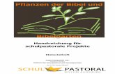 Handreichung für schulpastorale Projekte - Bistum Augsburg · PDF fileKarte des frühen historischen ... Daneben gibt es Uferwälder aus Weiden ( Salix spp ... dass die Bibel hauptsächlich