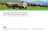 Agrotourismus in Graubünden - gr.ch · PDF fileAgrotourismus in Graubünden Rahmenbedingungen und Möglichkeiten Leitfaden für Praktiker Amt für Raumentwicklung Graubünden Uffizi