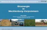 Bioenergie in Mecklenburg-Vorpommern · PDF fileKarlino, 8./9. Oktober 2014 Bioenergie in M-V 1 Ministerium für Energie, Infrastruktur und Landesentwicklung Bioenergie in Mecklenburg-Vorpommern