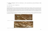 4. Mineralogía de los núcleos y de muestras procedentes ...upcommons.upc.edu/bitstream/handle/2099.1/3433/55010-10.pdf · La Tabla 4.1 muestra el resumen de las fases minerales
