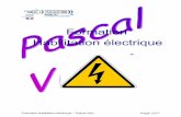 Formation Habilitation électrique - pascalvitry.wifeo.compascalvitry.wifeo.com/documents/Cours-habilitation-lectrique-2012.pdf · Formation Habilitation électrique – Pascal Vitry