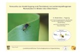 Knuth Ausbringung und Persistenz von entomopathogenen ... · PDF filePeter Knuth Landwirtschaftliches Technologiezentrum Augustenberg 1. Ausgangssituation ... Die effektivste Art war