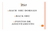Bach Shu e MO - portalunisaude.com.br Shu e MO.pdf · BACH SHU (SHU) O Back-shu (shu) são os pontos nas costas onde o Qi dos órgãos respectivos Zang Fu étransportado. Localizam-se