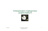 T. Nikolić Sistematska botanika- 1 Angiospermae IVhirc.botanic.hr/sist-bot/Documents/Sistematska botanika-13.pdf · Sympetalae pentacyclicae Cvjetna formula: Primula sp.: *K (5)