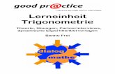 Geometrie – Testsysdyn.educanet2.ch/dialogmathe/.ws_gen/7/Trigonometrie Skript.pdf · Trigonometrie Theorie Seite - III - Lerneinheit Trigonometrie Theorie, Lernkontrollen, dynamische