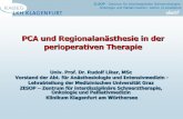 PCA und Regionalanästhesie in der perioperativen Therapiepaincourse.com/upload/pdf-b-14/likar-regional-und-pca-2014.pdf · PCA und Regionalanästhesie in der perioperativen Therapie