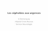 Les céphalées aux urgences - RESUValresuval.free.fr/EG AVC/2014/04_Demarquay.pdf · Céphalées et urgences • Pathologie très fréquente dans la population générale ; 5ième