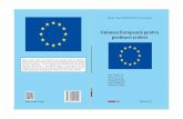 Uniunea Europeană pentru profesori și elevi - · PDF fileDe asemenea, în ceea ce priveşte istoria Uniunii Europene, anii ’90 sunt reprezentativi pentru semnarea a două tratate,