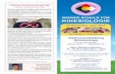 WIENER SCHULE FÜR  · PDF fileDas Magazin Des Österreichischen BerufsverBanDes für Kinesiologie nr. 38 / 2017 IMPULS 9 WIENER SCHULE FÜR KINESIOLOGIE Ausbildungen nach Maß