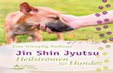 Tina Stümpfig-Rüdisser Jin Shin Jyutsu - schirner.com Shin... · Jin Shin Jyutsu ist keine Wunderheilmethode – auch wenn tat - ... 2 Minuten halten, sodass der Hund jeweils ca.
