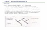 Chapter 2. Functional Carbohydrateapp-mic/resources/lecture/functional resources... · 전분가공 1) 이성화당(異性化糖) - 전분분해물에glucose isomerase 처리하여fructose