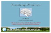 Kemoterapi & hjernen - · PDF fileProgram •1. Hjernen, kræft og kemoterapi –Påvirkes hjernen af kemoterapi ? –Hvordan påvirkes hjernen? •2. Kognitive bivirkninger ved