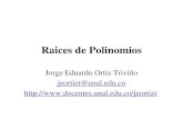 Raices de Polinomios - disi.unal.edu.codisi.unal.edu.co/profesores/jeortizt/MetNum/Archivos/04B... · algoritmo de Horner