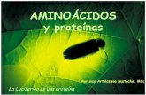 AMINOÁCIDOS y proteínas - bioquiucimed · PDF filesintetizados por el hombre, si su organismo dispone de ... Requerimiento de aminoácidos para humanos Esenciales No Esenciales Isoleucina
