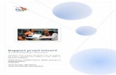 Rapport projet tuteuré - bu.univ-tln.frbu.univ-tln.fr/userfiles/file/RapportsdeStages/ProjetTutorePotail... · Conception du rapport de projet tuteuré ‐ Mise en page du rapport
