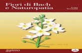 Fiori di Bach e Naturopatia Trevisani · PDF fileBach sia una terapia seria e consolidata, non un simpatico passatempo. In questo senso, ritengo che questo libro della dottoressa Trevisani