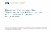 Bizneset Fillestare dhe Shërbimet për Mbështetjen e ... · PDF fileBizneset Fillestare dhe Shërbimet për Mbështetjen e Bizneseve Fillestare në Kosovë Jakob Modeer Qershor 2013